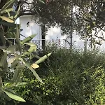 Le Donne Di Giannino ريندي