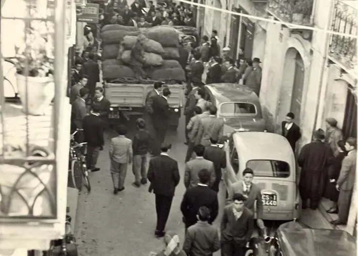 Le Donne Di Giannino